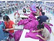 Nhiều lao động nữ ngành dệt may muốn nghỉ hưu sớm. Ảnh: Ngọc Thành.