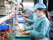 Tháng 1/2023: 10.800 doanh nghiệp thành lập mới, 43.900 doanh nghiệp rút lui khỏi thị trường