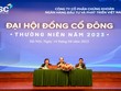 Năm 2023, BSC đặt mục tiêu trở lại top 10 thị phần môi giới cổ phiếu trên HOSE.