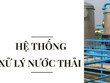 Kiến nghị xử phạt Tập đoàn Thái Tuấn vì vi phạm quy định bảo vệ môi trường