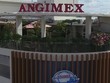 Angimex (AGM) nêu lộ trình khắc phục việc cổ phiếu bị hạn chế giao dịch