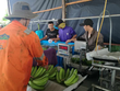Hoàng Anh Gia Lai (HAG) đăng ký bán 47,5 triệu cổ phiếu Nông nghiệp Quốc tế Hoàng Anh Gia Lai (HNG)
