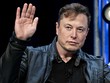 Elon Musk "ngầm thừa nhận" Tesla có thể đã bán số Bitcoin còn lại