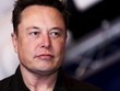 Đà tăng mà Elon Musk tạo ra cho Bitcoin đã bị xóa sạch