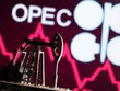 Giám đốc IEA kêu gọi OPEC+ thu hẹp khoảng cách giữa cam kết và hành động