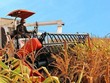 Ngân hàng vừa bán thêm 25,4 triệu cổ phiếu HNG để thu hồi nợ của Hoàng Anh Gia Lai (HAG)