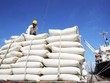 Giá lúa mỳ tăng cao và nỗi lo an ninh lương thực do ảnh hưởng từ Ukraine