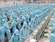 Đầu tư và Phát triển Đa quốc gia I.D.I (IDI): HOSE nhắc nhở chậm công bố thông tin
