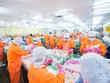 Nam Việt (ANV) giảm vốn điều lệ công ty bất động sản và tăng vốn điều lệ công ty sản xuất điện