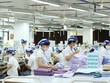 Vinatex (VGT) dự kiến thoái 4,5 triệu cổ phiếu CTCP Dệt may Liên Phương với giá khởi điểm 19.800 đồng/CP