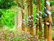 Cao su Phước Hoà (PHR): Cổ phiếu giảm 57,1% từ đỉnh nhưng lãnh đạo không mua hết với lý do điều kiện thị trường không phù hợp