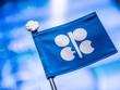 OPEC+ muốn những người bán khống giá dầu thiệt hại đáng kể