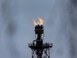 Giới phân tích tăng dự báo giá dầu sau khi OPEC+ bất ngờ cắt giảm sản lượng