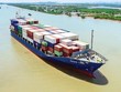 Viconship (VSC) chính thức trở thành cổ đông lớn của Vận tải và Xếp dỡ Hải An (HAH)