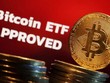 Các quỹ ETF bitcoin của Mỹ đặt vấn đề về rủi ro hệ thống tài chính rộng hơn