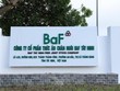 BaF Việt Nam (BAF) thay Kế toán trưởng trước thềm Đại hội đồng cổ đông năm 2024