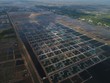 Tập đoàn PAN (PAN) lãi 201 tỷ đồng trong quý II/2024