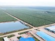 Lãnh đạo Hoàng Anh Gia Lai (HAG) vừa mua vào 200.000 cổ phiếu