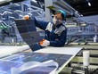 Mỹ tăng thuế nhập khẩu tấm pin mặt trời, polysilicon và sản phẩm vonfram từ Trung Quốc