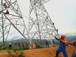 Sông Đà 11 (SJE) liên tiếp nhận hai quyết định xử phạt về thuế