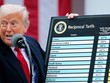 Tòa án liên bang Mỹ bác bỏ phần lớn thuế quan của Tổng thống Trump 
