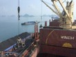 Việt Phát (VPG) bị xử phạt khi công bố thông tin sai lệch về giao dịch với bên liên quan