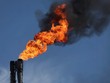 IEA: Việc tăng sản lượng của OPEC+ có thể khiến thị trường dầu dư cung