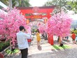 Người Sài Gòn háo hức với hội hoa xuân Phú Mỹ Hưng
