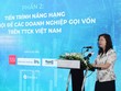 Chủ tịch UBCKNN Vũ Thị Chân Phương