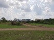 TP.HCM: Đất nông nghiệp hợp pháp trong quy hoạch được phép chuyển mục đích sử dụng