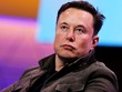 Tỷ phú Elon Musk, chủ sở hữu Tesla. 