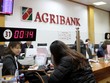 Agribank: Điểm tựa cho ngư dân “hồi sinh” sau sự cố môi trường biển