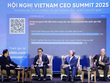 Các diễn giả chia sẻ trong phiên thảo luận tại Hội nghị Vietnam CEO Summit 2025