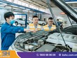 Hỗ trợ nhanh gọn người được bảo hiểm bắt buộc trách nhiệm dân sự xe cơ giới