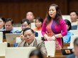 Đại biểu Quốc hội Vũ Thị Lưu Mai phát biểu tại buổi thảo luận hội trường sáng 27/10.