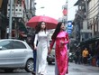 Người Hà Nội du xuân thảnh thơi trong mưa xuân sáng mùng 1 Tết