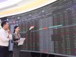 Chuyên gia DNSE: Định giá “cổ đất” đang rẻ, cơ hội cho nhà đầu tư