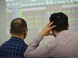 Nhiều thông tin hỗ trợ thị trường chứng khoán