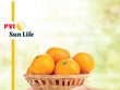 PVI Sun Life ra mắt hai sản phẩm mới