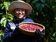 Thúc đẩy kinh tế tuần hoàn và vai trò của doanh nghiệp