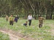 Vietcap khởi động dự án vì cộng đồng Go Green Go Up