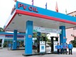 OIL giao dịch sôi động phiên chào sàn UPCoM