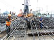 Cơ hội tái cơ cấu danh mục
