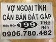Cò đất nghỉ ra đủ chiêu để quảng cáo bán đất bị mắc kẹt - Ảnh: Gia Huy