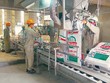Hoá chất Đức Giang (DGC) sắp trả cổ tức 15% bằng cổ phiếu