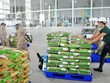 10 tháng 2020, xuất khẩu gạo đạt gần 5,4 triệu tấn, mang về 2,64 tỷ USD, giảm 4% về lượng và tăng 8,2% về trị giá.