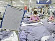 Các doanh nghiệp dệt may đã chủ động để thích ứng trong hoàn cảnh khó khăn. Ảnh: Đức Thanh