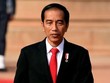 Tổng thống Indonesia Joko Widodo. Ảnh: AFP