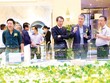Nhiều đợt mở bán dự án cuối năm khá hút khách. Ảnh: Lê Toàn