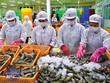 Anh một trong 10 thị trường nhập khẩu thủy sản lớn nhất của Việt Nam, thị phần thủy sản xuất khẩu của ta tại thị trường này năm 2020 đạt hơn 4% (năm 2015 đạt 1,03%).
